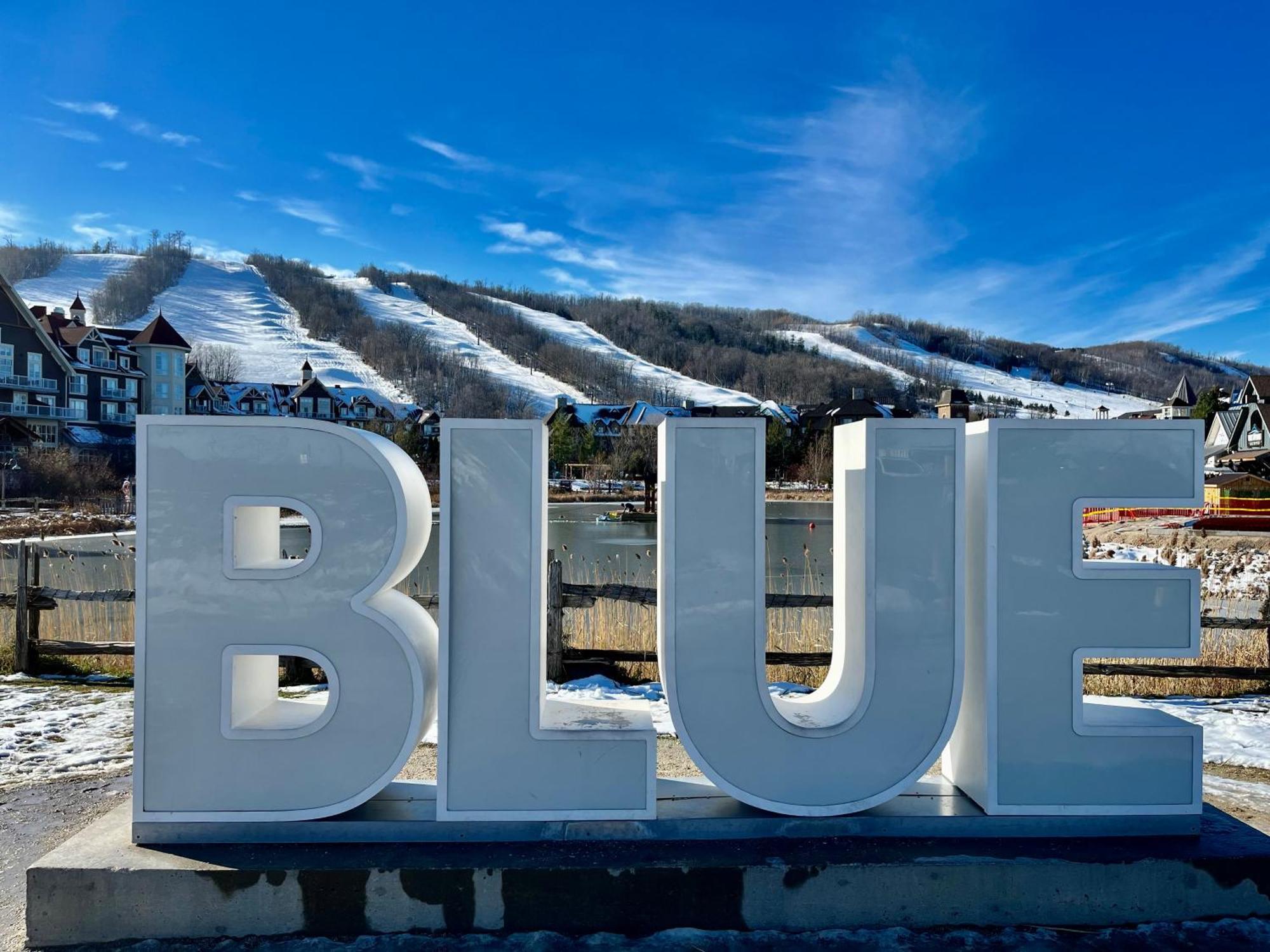 Blue Mountain Studio Oasis The The Blue Mountains Exterior foto